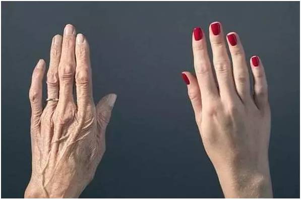 36365线路检测登录入口寿命