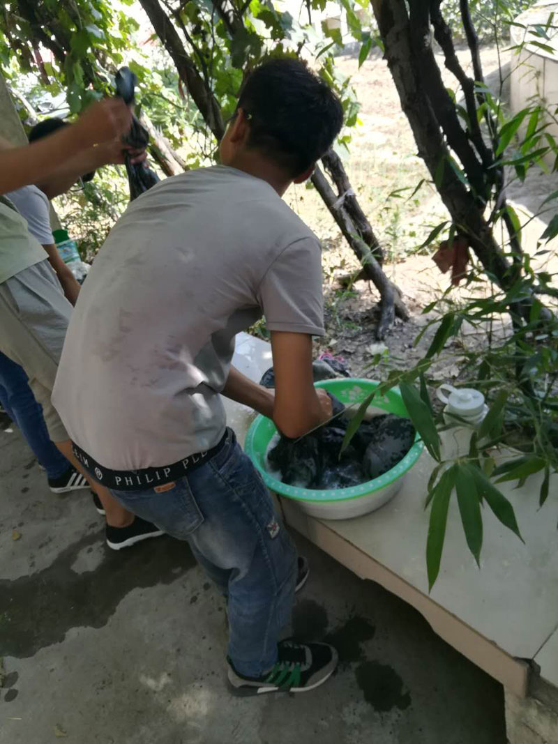 36365线路检测登录入口老师教学生洗衣服